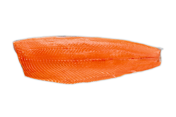 Fresh Salmon Fillets